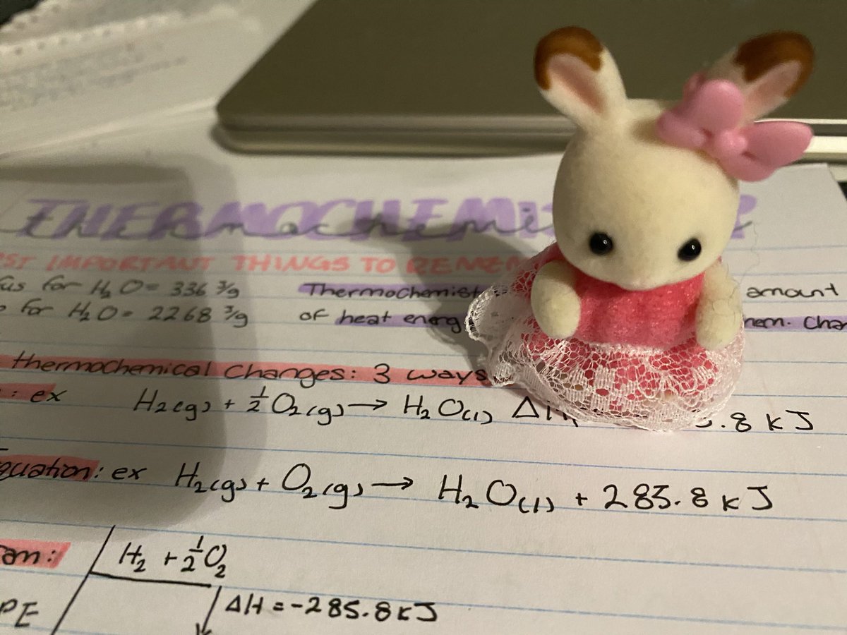 figbased's tweet image. exam 2/3 ✅ i bring my calico critter in with me for good luck. also worlds most boring dinner sory