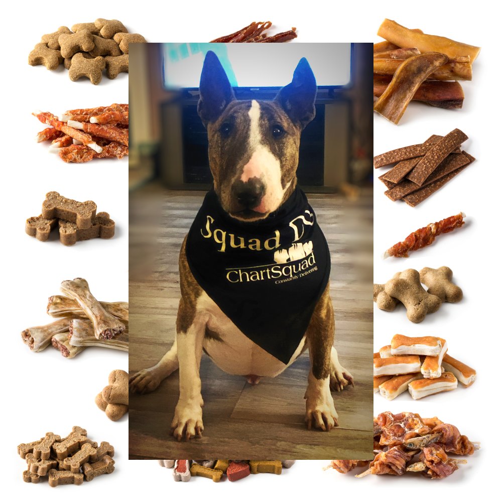 ChartSquad's tweet photo. Check out this adorable member of the 'Squad Dog pack! Introducing Argo Bentley! Boops, scritches, and doggie-treats are mandatory.
#boop #scritches #squaddog #whosagoodboy #doggietreats #chartsquad https://t.co/RJoxyHZsnP