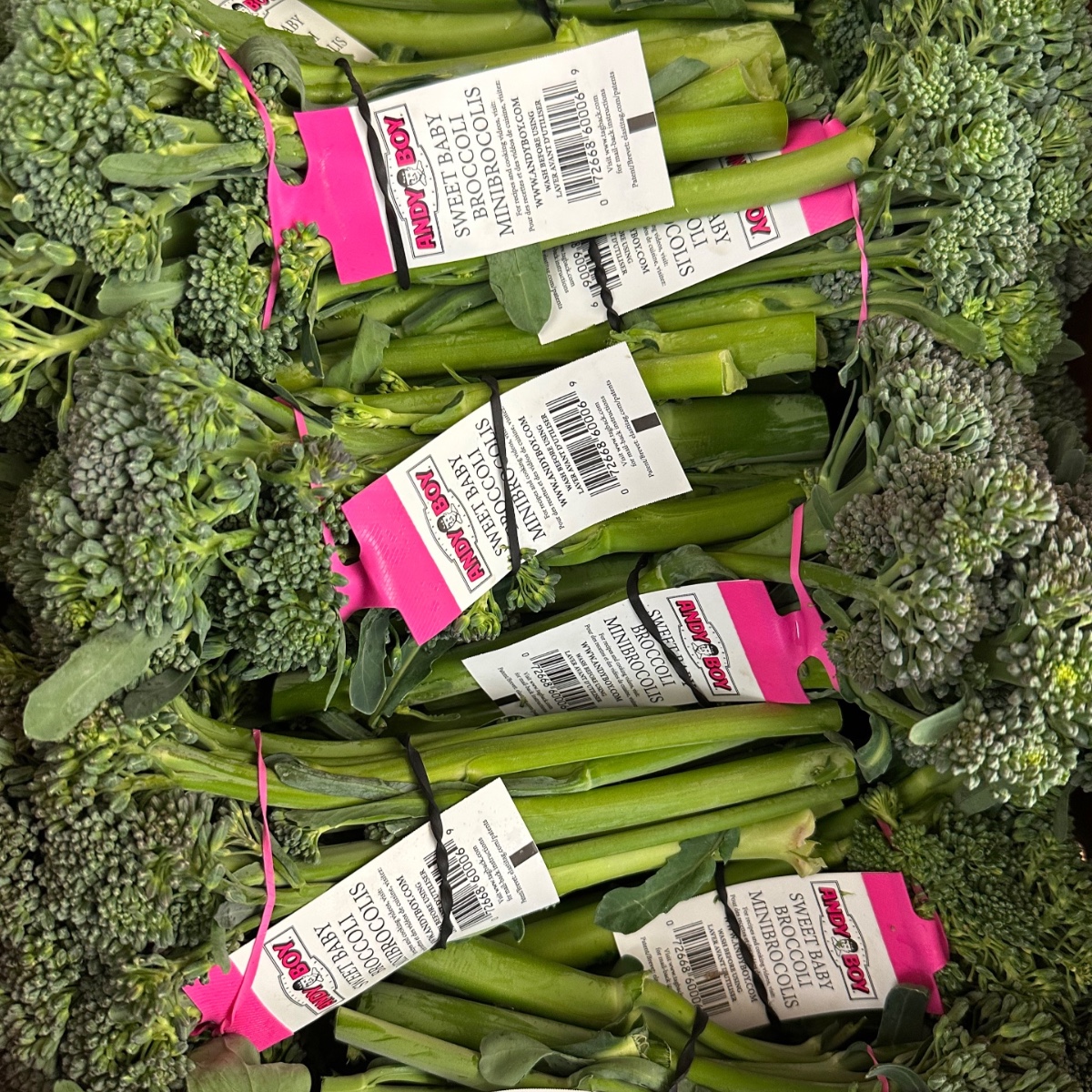 AndyBoyInc's tweet photo. #AndyBoy sweet baby broccoli, harvested and packed fresh for a dinner plate near you!! π₯¦πͺπ½οΈ #sweetbabybroccoli #eatyourveggies https://t.co/ql7idmFtCJ