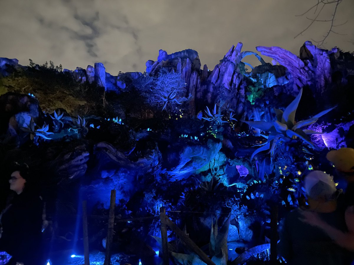 I don’t visit disney often anymore, but Im glad I got to finally see Pandora at night 🥰
