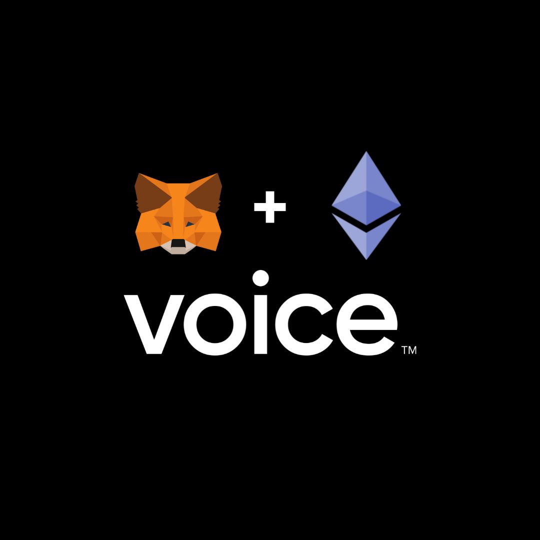 Voice tweet media