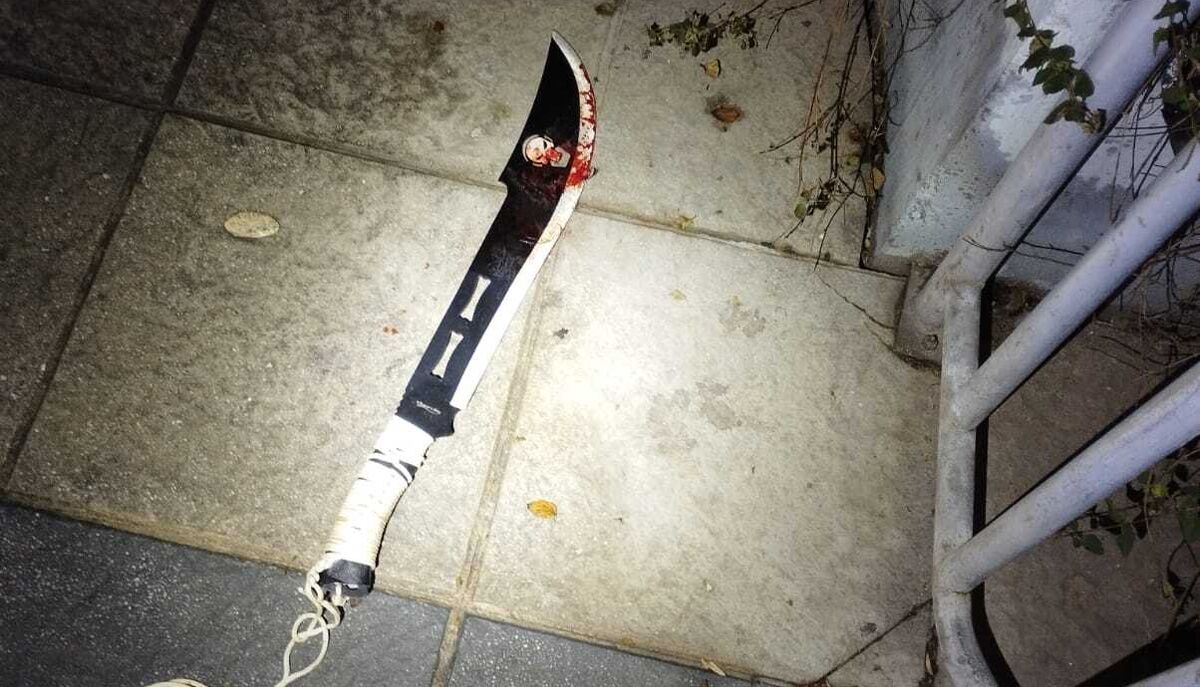 Lupe Batallán tweet media