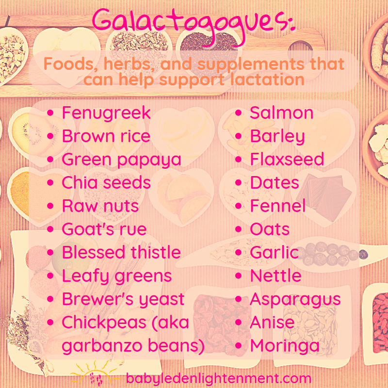 BabyLedE's tweet photo. Trying to boost your milk supply or relactate? Try out some of these galactogogues get your milk flowing!
#breastfeeding #relactation #babyledenlightenment #pregnancycoaching #parentingcoaching #lactation #galactogogues #healthyeating https://t.co/AYNxgUiEdE