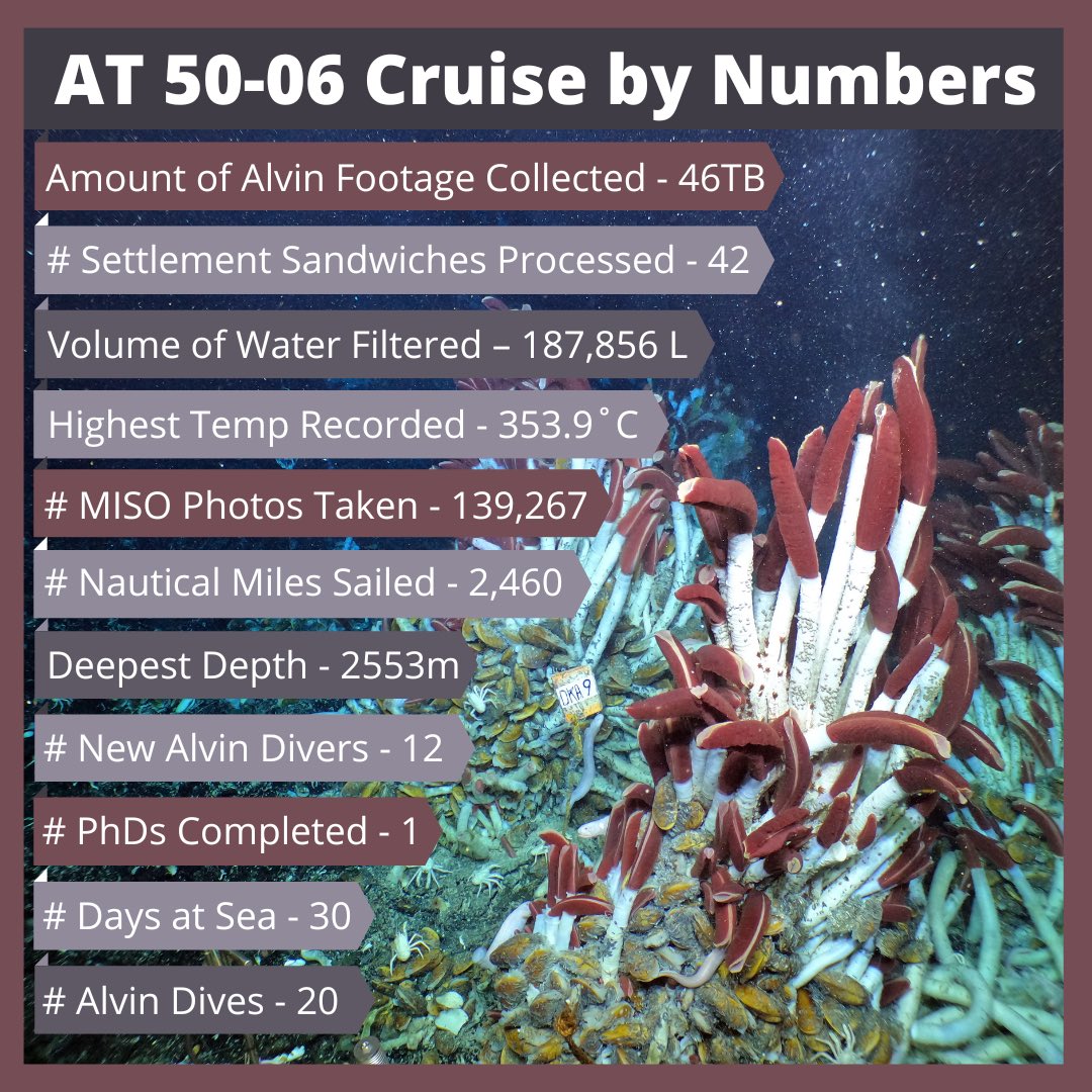 Cruise by Numbers of our #biofilms4larvae cruise aboard the <a href="/RVAtlantis/">Research Vessel Atlantis</a>.

An incredible international effort to study the vents at the EPR was a success!

Can’t wait to return next year and do it again!
#nsffunded #dsvalvin <a href="/WWU/">WWU</a> <a href="/WHOI/">Woods Hole Oceanographic Institution (WHOI)</a>