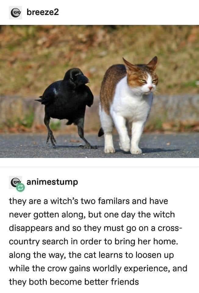 WholesomeMeme's tweet image. 