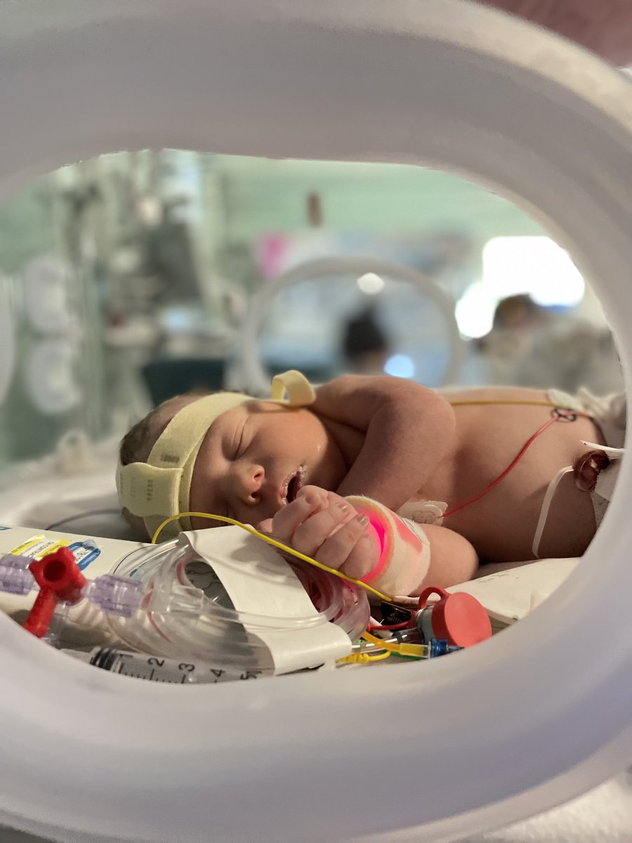 Adventureman tweet media