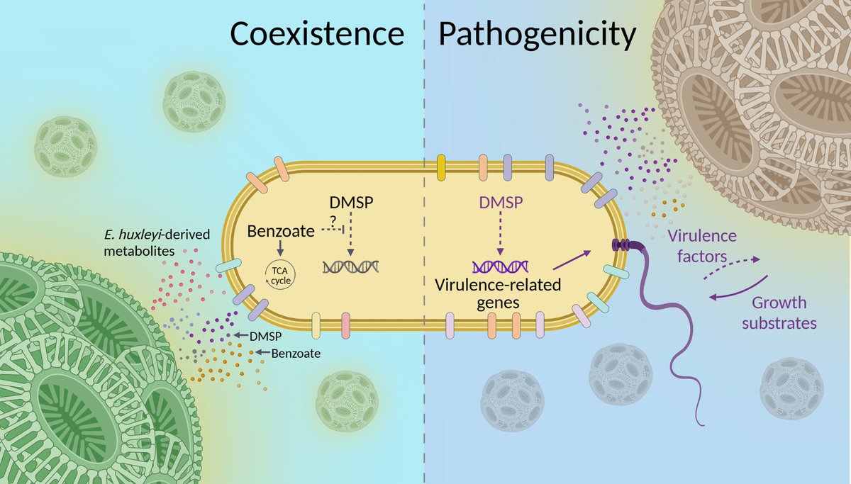 @vardilab tweet media