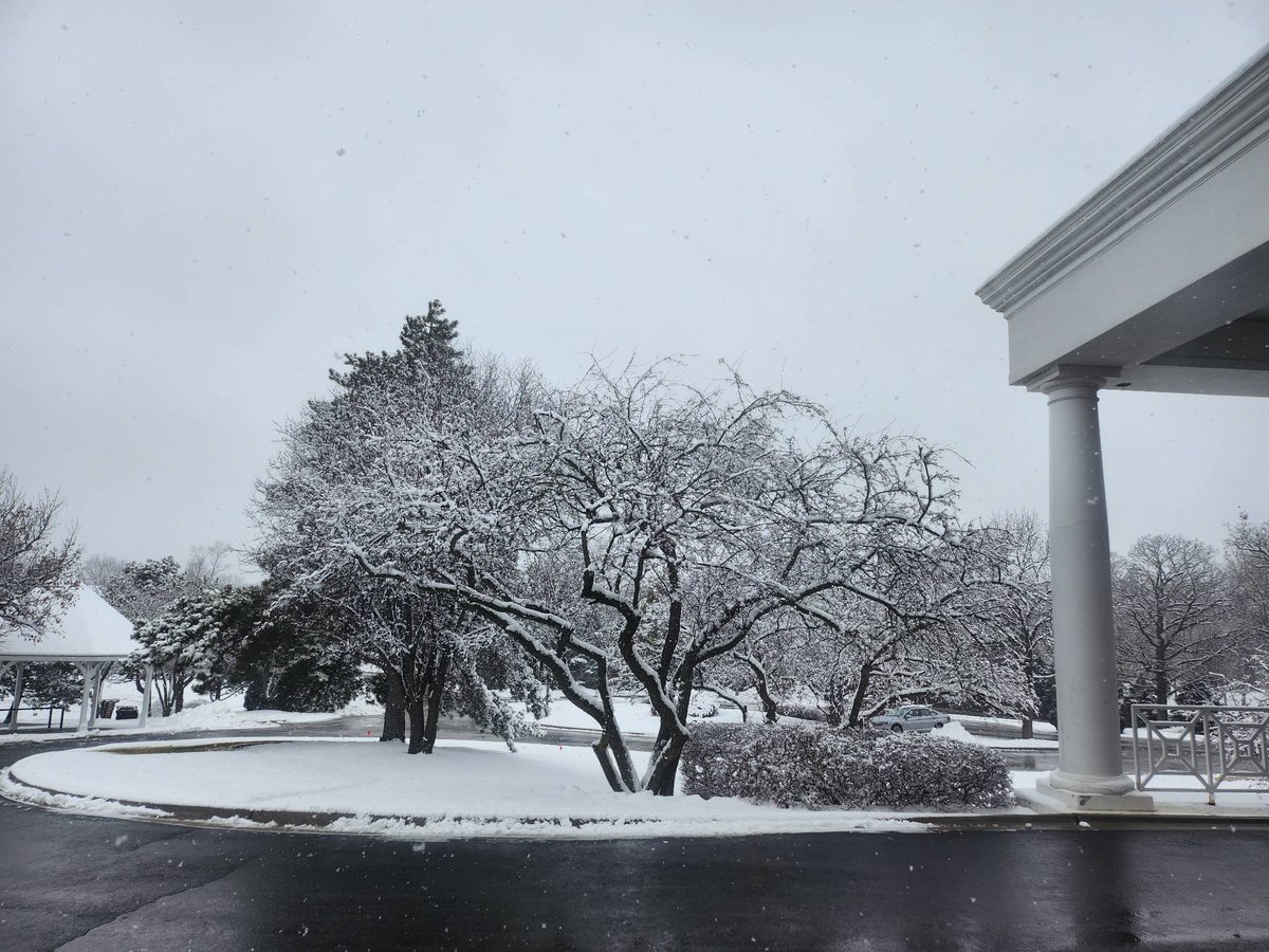 TheRoyalFoxCC's tweet photo. Fresh snowfall at the Fox! #RoyalFoxCC https://t.co/dJNjzSl0SW