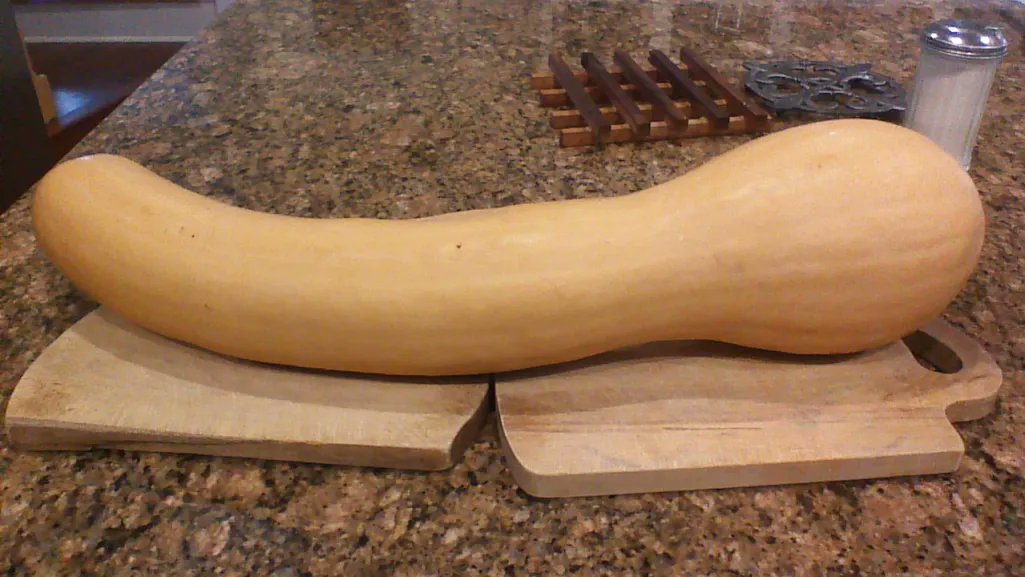 hankgreen's tweet image. OH NO! NO ONE CHECKED THE SQUASH!