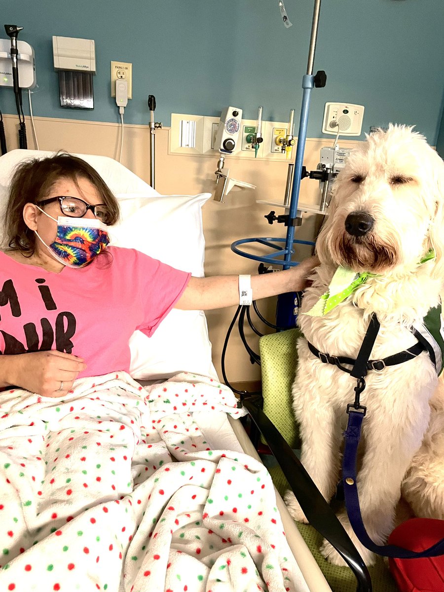 littlegiants14's tweet photo. Those suffering from immunodeficiency diseases (low T cell function)-as with #SIOD - having poor IgG levels can benefit from IVIg - a blood product derived from blood donors. Her infusions last 3 hours generally followed by another few hours of IV fluids and are monitored. #SIOD https://t.co/NfxvzOPsWm