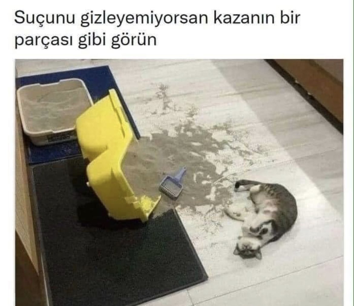 Çağdaş (@cagdas7s) on Twitter photo 