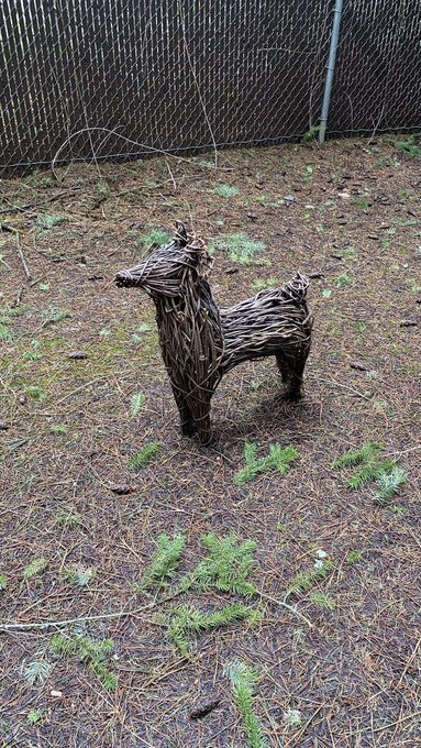 Y&rsquo;all.. came across this while going to a jobsite in the middle of the woods. Should i be scared 😅 https://t