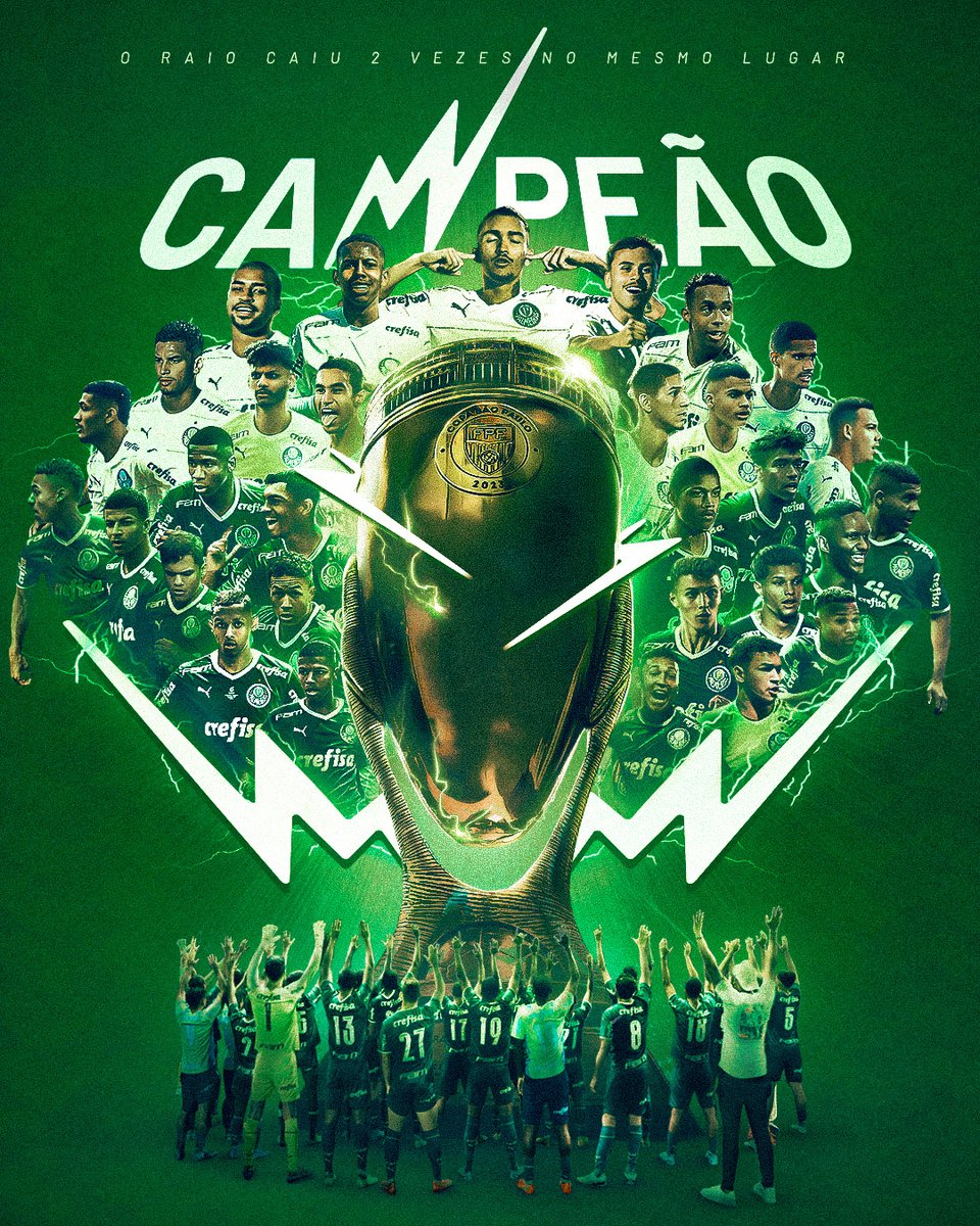 SE Palmeiras on X: ACABOU, O PAULISTA É NOSSO! 🏆 APÓS A AMÉRICA E O  BRASIL, PINTAMOS O ESTADO DE VERDE PELA 24ª VEZ! Se em 1942 nascemos  campeões, em 2022 seguimos! #