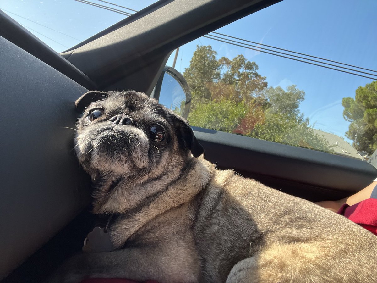 Marcella Heredia tweet media