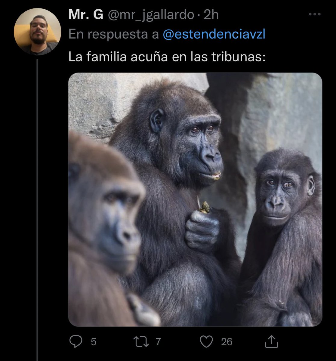 Adalbertoosma's tweet photo. Solicitamos al fiscal general @TarekWiliamSaab ,investigue  las múltiples descalificaciones que han inundado las redes sociales por lo sucedido anoche en el juego caracas-la guaira ,  que instigan al odio , el RACISMO, la DISCRIMINACIÓN RACIAL, LA XENOFOBIA y sus formas conexas. https://t.co/GpgNUyAVIc
