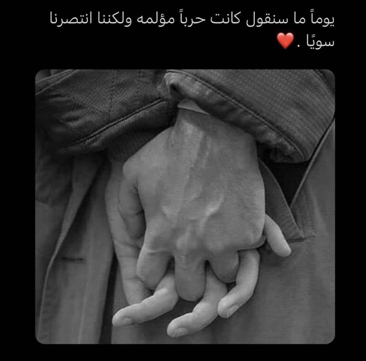 . tweet media
