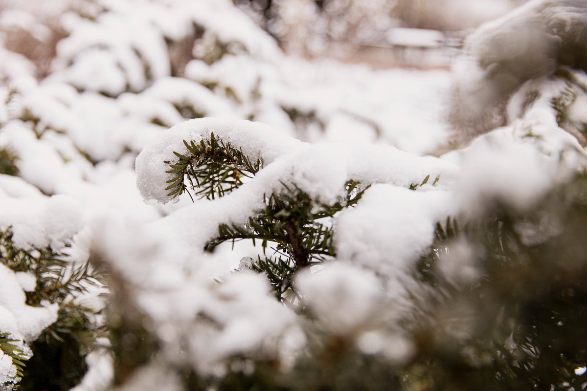 MBTS's tweet photo. It may be chilly outside, but the snow sure does make campus look beautiful. #MBTSLife https://t.co/IVPRohq3FB