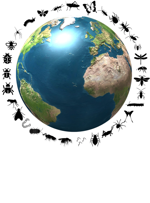 Vandaag met <a href="/SvenAKWA/">Sven Teurlincx</a> een inspiratiesessie verzorgd voor <a href="/Leisurelands/">Leisurelands</a> die streven naar meer biodiversiteit op hun terreinen. Natuur en recreatie kunnen prima samen! Met speciale aandacht voor #insecten en #onderwaterdiertjes <a href="/niooknaw/">NL Inst of Ecology</a>