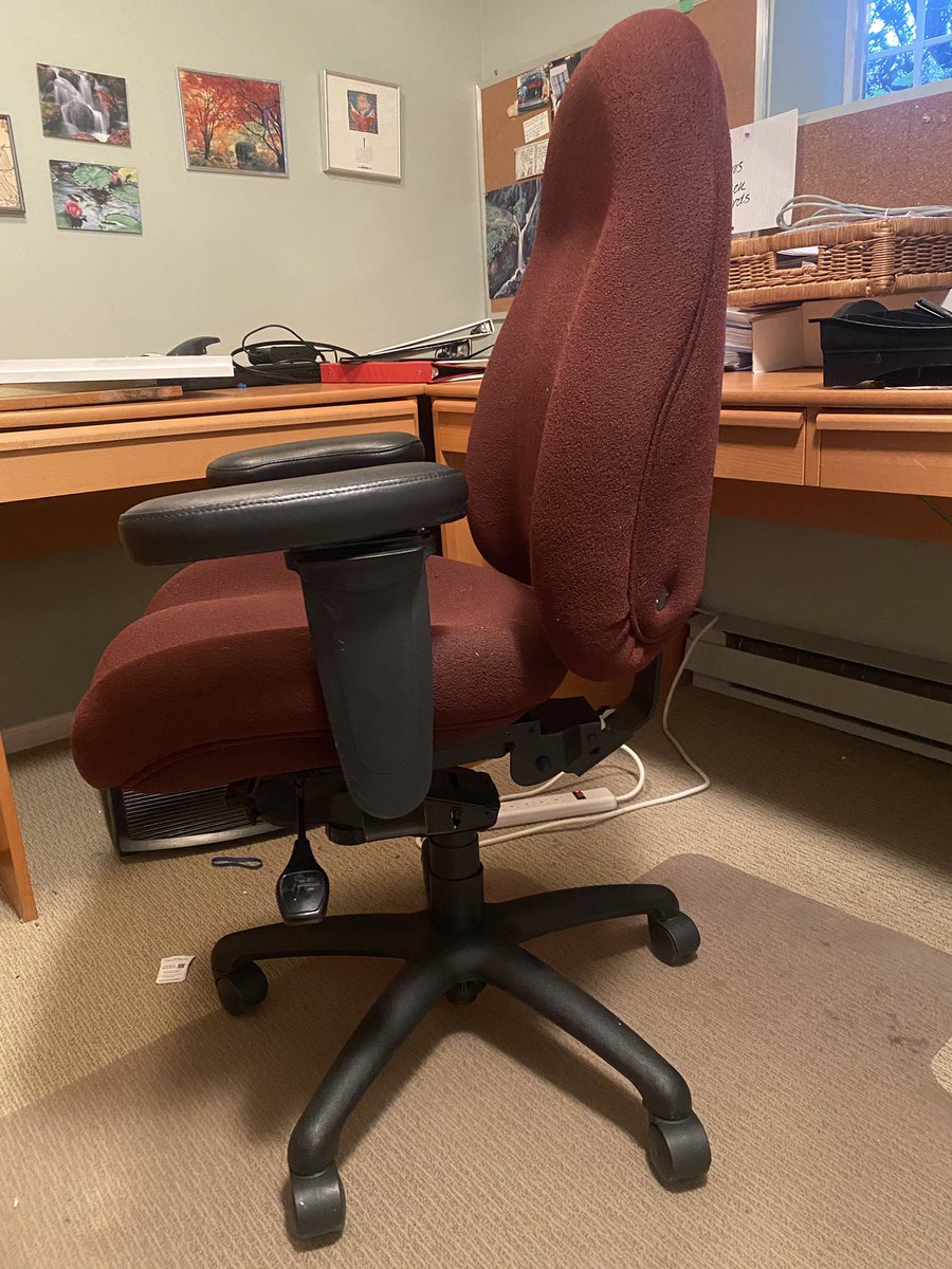 Ultimate #Ergonomic Executive Office Chair By #Lifeform Mid Back  now available for sale #Vancouver #estateliquidator #vintagevancouver