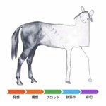 これはあるある？創作は全体の時間管理をきちんと行おう。