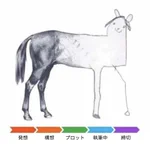 これはあるある？創作は全体の時間管理をきちんと行おう。