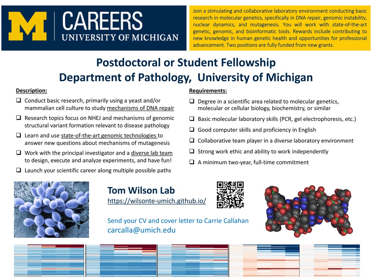 Tom Wilson (@wilsonte_umich) on Twitter photo The Wilson lab is actively seeking two postdoctoral fellows interested in applying advanced genomic techniques to problems in DNA repair and mutagenesis, especially chromosomal rearrangements. Fully funded positions. Please help spread the word!
wilsonte-umich.github.io
<a href="/EMGSUS/">Environmental Mutagenesis and Genomics Society</a> The Wilson lab is actively seeking two postdoctoral fellows interested in applying advanced genomic techniques to problems in DNA repair and mutagenesis, especially chromosomal rearrangements. Fully funded positions. Please help spread the word!
wilsonte-umich.github.io
<a href="/EMGSUS/">Environmental Mutagenesis and Genomics Society</a>