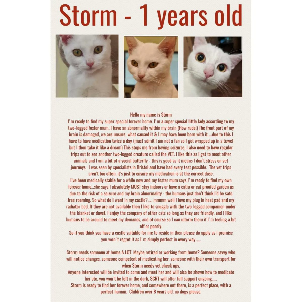 StrayCatsWM's tweet photo. 🏡 ❤️ 5 VERY SPECIAL REQUESTS. Please read fully and only apply if you can be certain you can offer them exactly what they need…. They are very specific to what they need, but all of them will be so worthy of your care love and attention ❤️❤️❤️❤️❤️ 🏡

Storm  - Mary  - Sid https://t.co/qMtTalrGAe