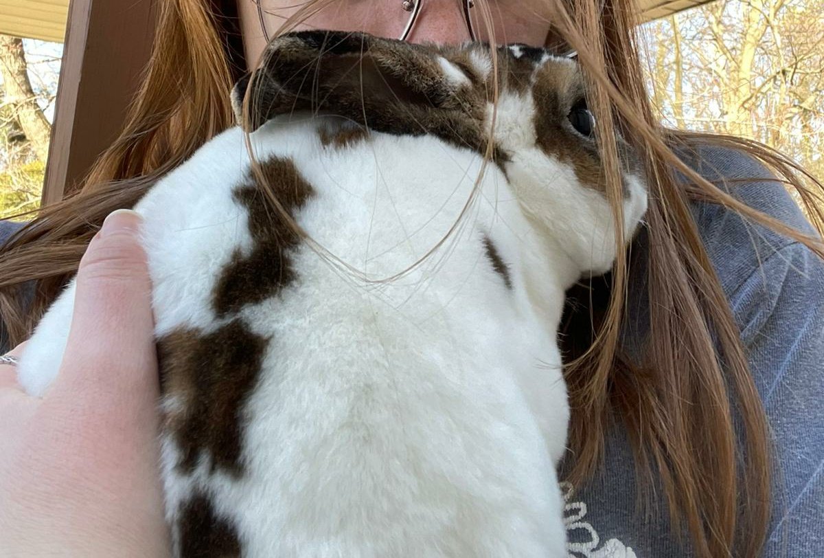 cyberazil's tweet photo. Ellie koja je trenutno u Hrvatskoj: "Sjećam se dana kada su pjegavi Badger i narančasta Piggy ušli u moj život. Ta dva zečića mi jako nedostaju i jedva se čekam vratiti doma u Ameriku da ih vidim!" 
#udomime #goodmemories 
- P https://t.co/IIfrBdlpFL