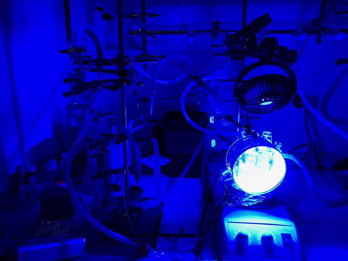 Francesco Pasca tweet media