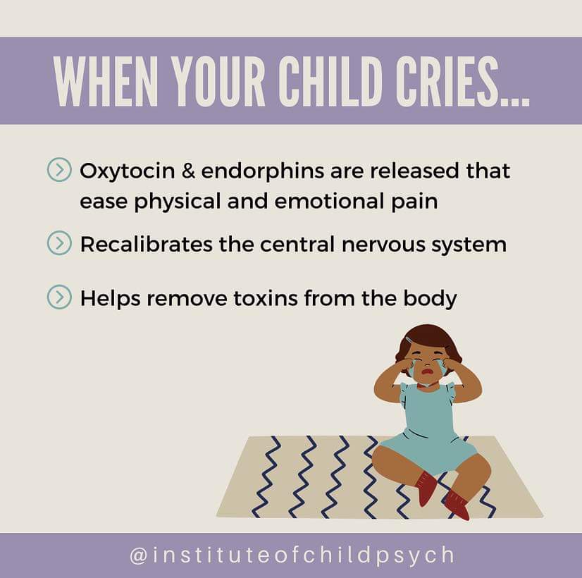 LynburnNurture's tweet photo. Crying is the bodies way to release stress and return to a state of regulation. ❤ https://t.co/YVmvLH5vdI