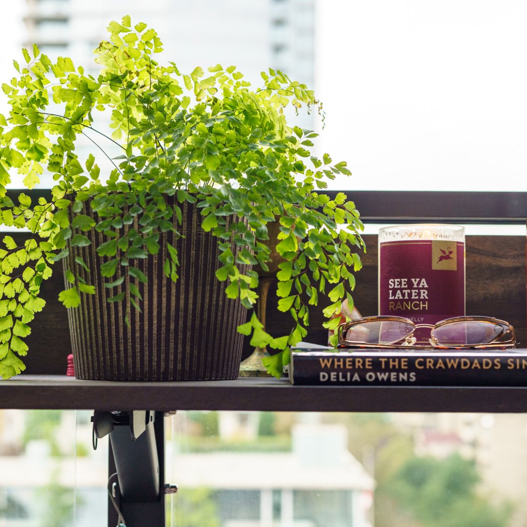 viewsbalconybar's tweet photo. What's on your reading list 🥸, we want to know below 👇🏽!

We've been trying to make time to read more books while patiently waiting for Spring to arrive, so we want to know -- what's on your reading list?

Does anyone else read in combos of one non-fiction and one fiction nove https://t.co/hgxwDXFxrU