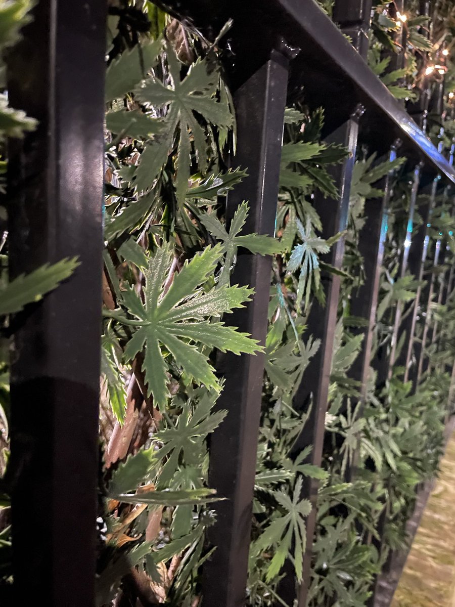 Storm Huntley tweet media