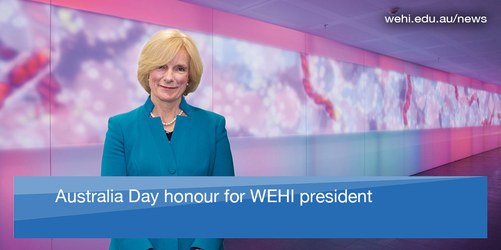 Congratulations to WEHI president Jane Hemstritch, appointed an Officer of the Order of Australia (AO) in the 2023 #AustraliaDayHonours List for distinguished service across the Australian non-profit and corporate sectors.  

wehi.edu.au/news/australia…

 🧵 1/3