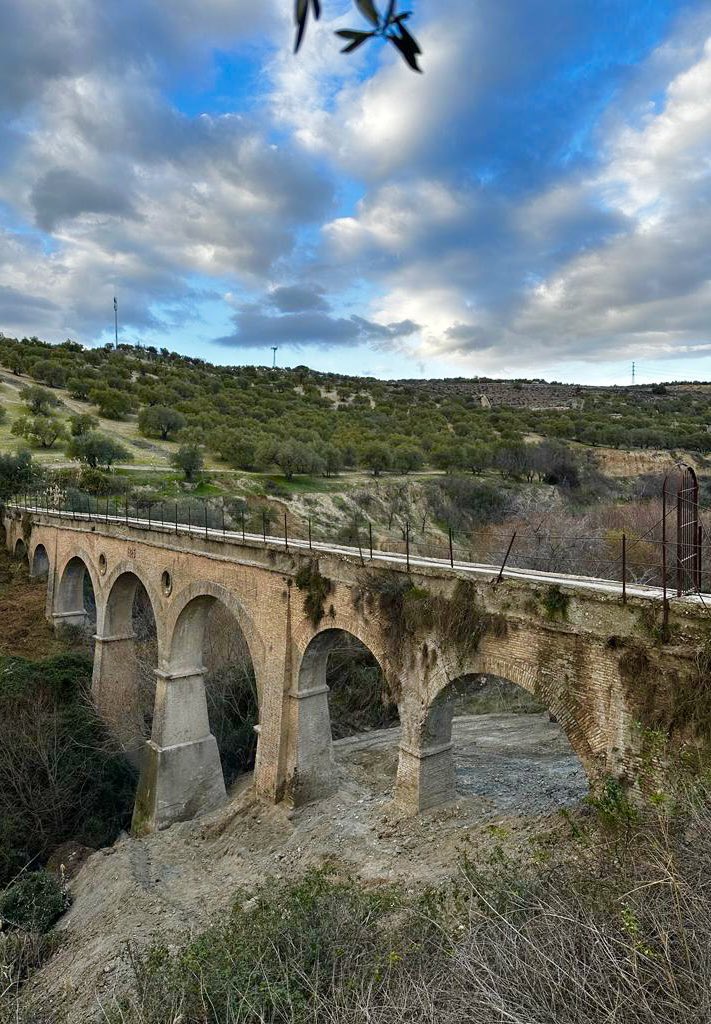 Aurora Suárez tweet media