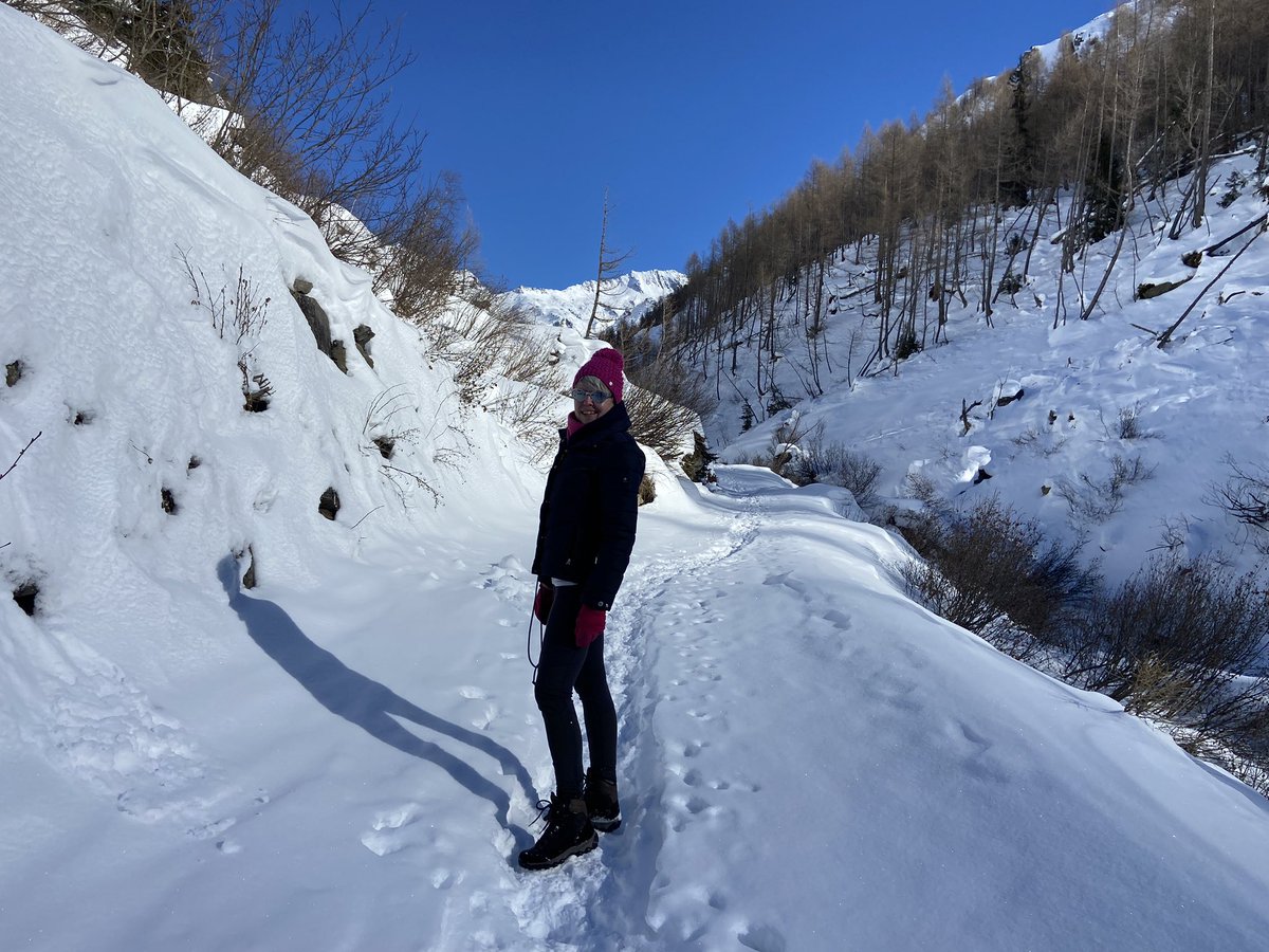 JenniferHopp_'s tweet photo. Ein Winter-Träumchen ❄️ 💙 🇮🇹 #Suedtirol #altoadige #winterwandern https://t.co/BRqPjiuPTS