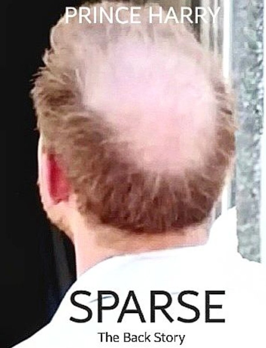 Meghanarciss1's tweet image. #PrinceHarryMemoir #Sparse #BackStory #Parody