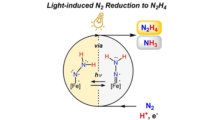 Matthew Chalkley (@chalkley_talk) on Twitter photo Latest paper with my friend <a href="/PGarridoBarros/">Pablo Garrido Barros</a> in <a href="/angew_chem/">Angewandte Chemie</a>. Our finding that irradiation of N2 fixation yields hydrazine led to insight into the pathways of N2 reduction. We suggest the electronic structure of the hydrazido (M-NNH2) determines the product.
onlinelibrary.wiley.com/doi/10.1002/an… Latest paper with my friend <a href="/PGarridoBarros/">Pablo Garrido Barros</a> in <a href="/angew_chem/">Angewandte Chemie</a>. Our finding that irradiation of N2 fixation yields hydrazine led to insight into the pathways of N2 reduction. We suggest the electronic structure of the hydrazido (M-NNH2) determines the product.
onlinelibrary.wiley.com/doi/10.1002/an…