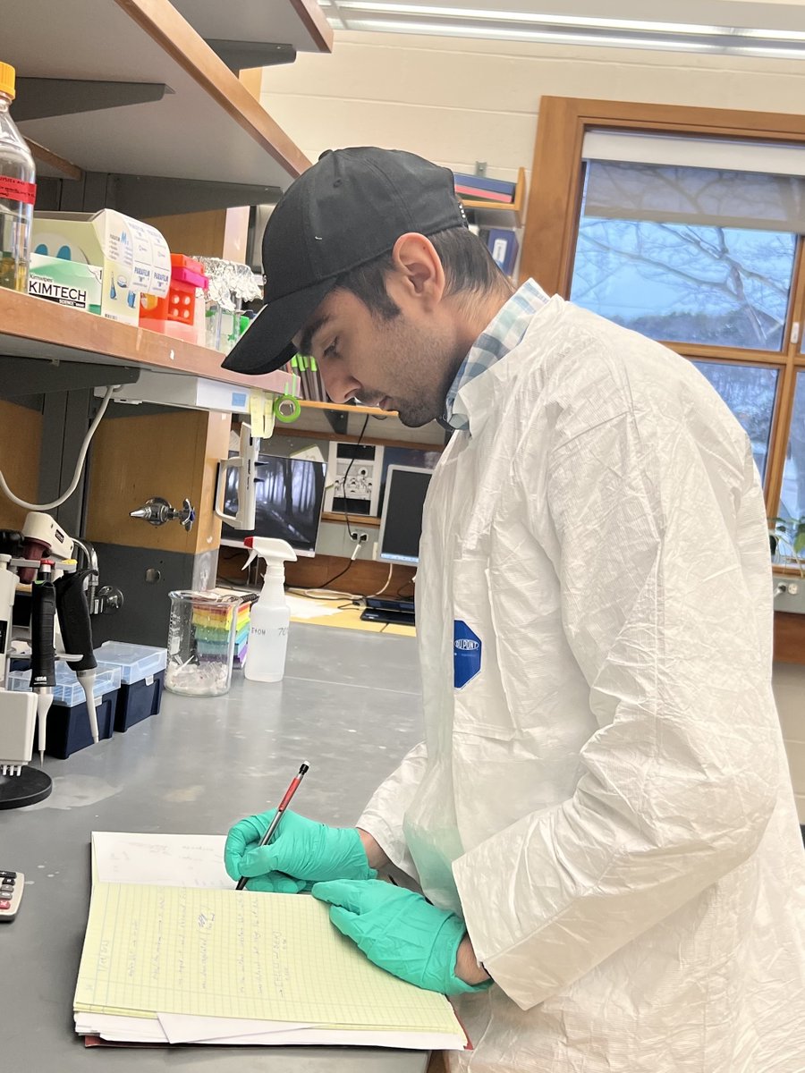 ChrisBakerLab's tweet photo. Quick shoutout to the Baker Lab rotation students from this academic year: Arad &amp; Hilda from @GSBSE_UMaine and Lexi from @TuftsGSBS. We wish them the best of luck with their current and future research!🧪🥼@AradBoustan @frempong_hilda @lexicm122 https://t.co/SGYVLLGBbg