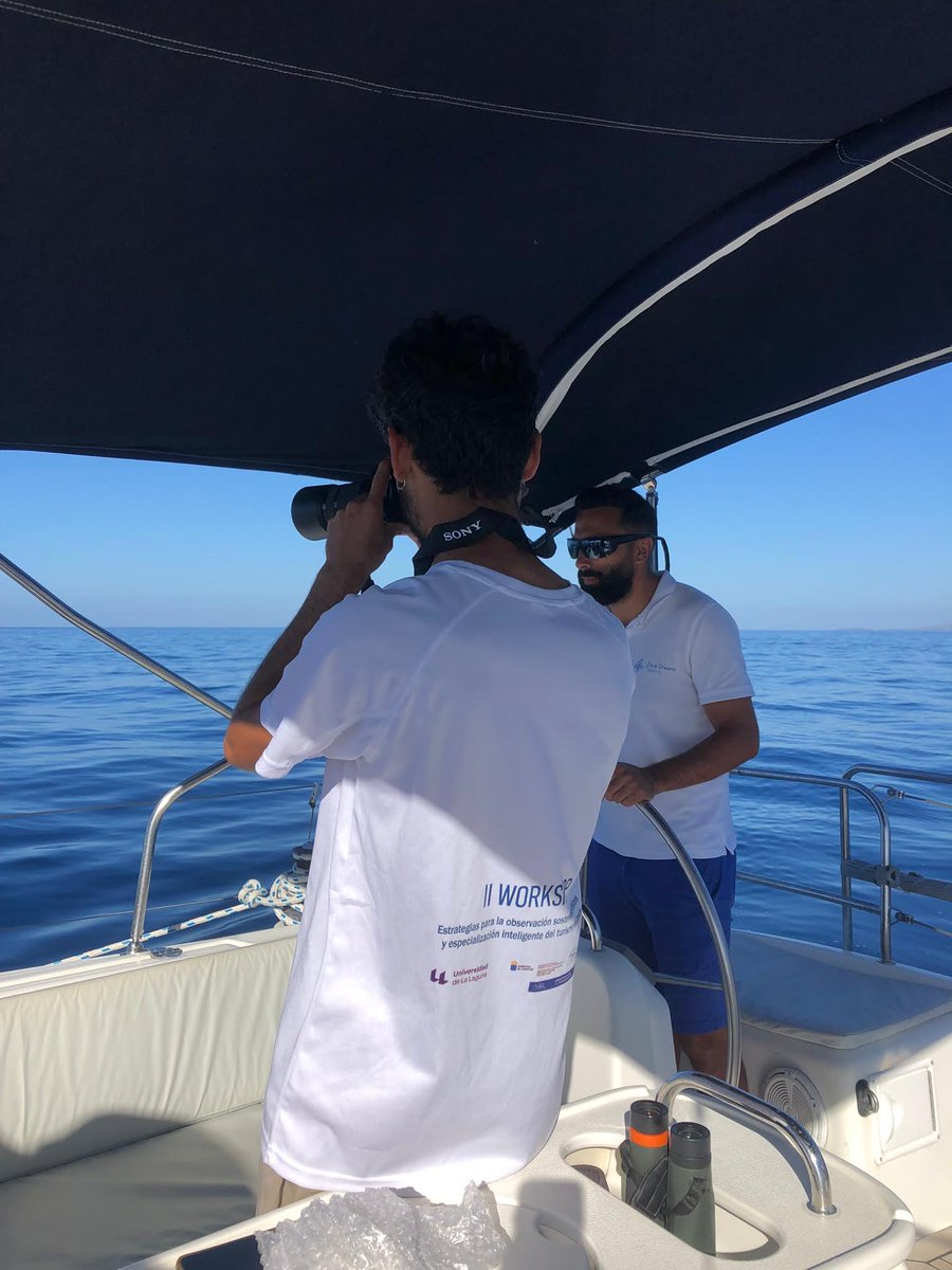 Start Blue ULL tweet media