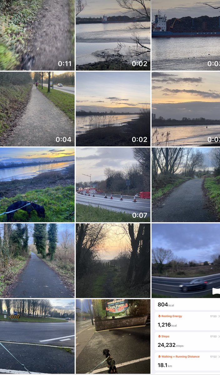 #100daysofwalking #Limerick 
Video @ instagram.com/reel/Cn2gytxqe… #Music 🎶🎼 #TheLonsomeBoatman #FureyBrothers 
#Wednesday #DogsOfTwitter #RiverShannon #ThreeBridgesWalk #ShannonEstuary #January #Sunset