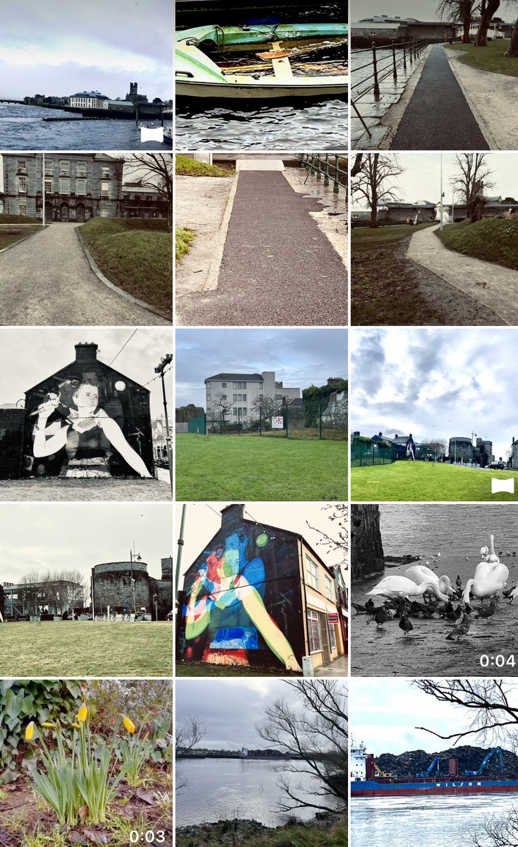 Limerick Ryan tweet media