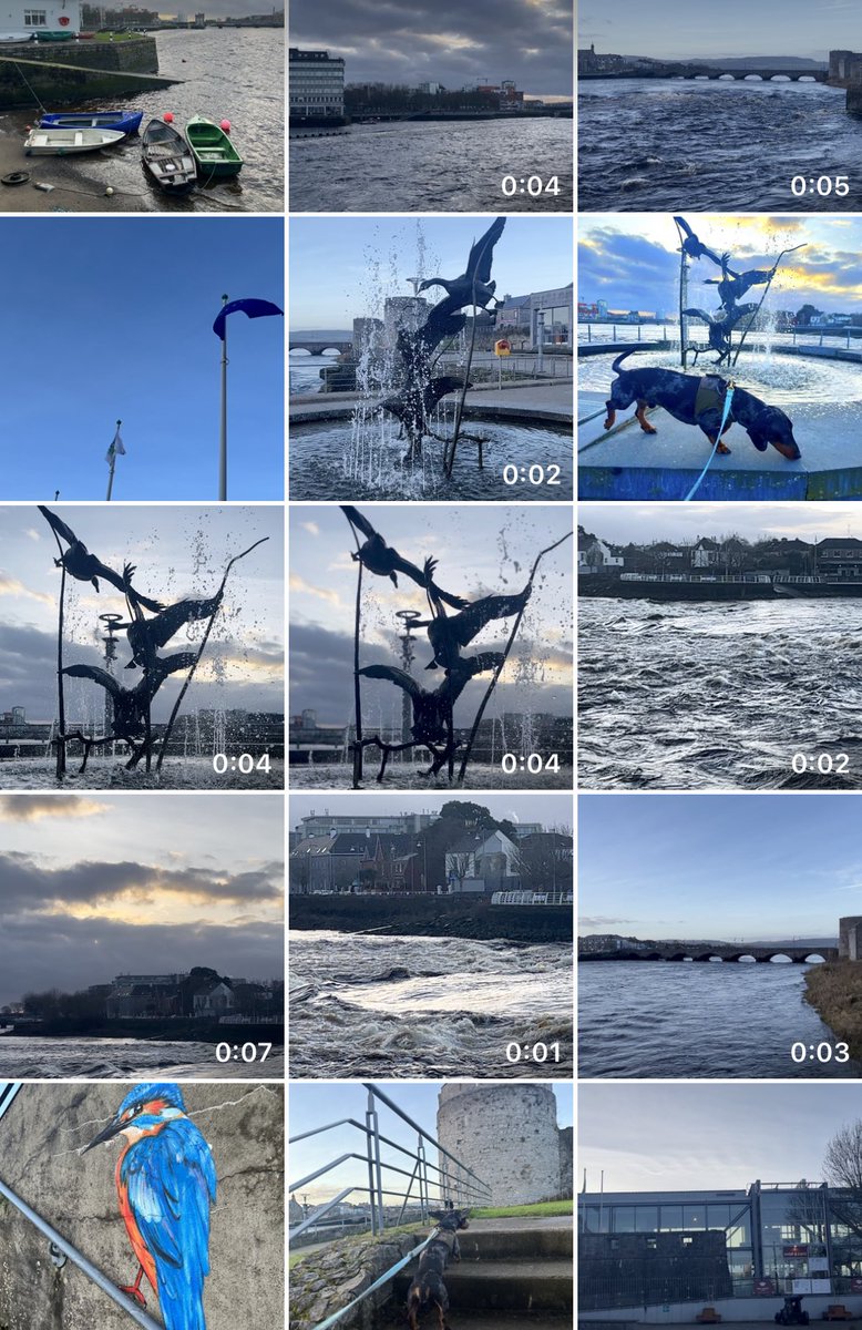 Limerick Ryan tweet media