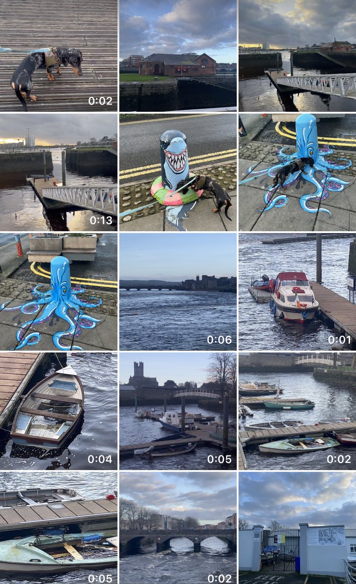 Limerick Ryan tweet media