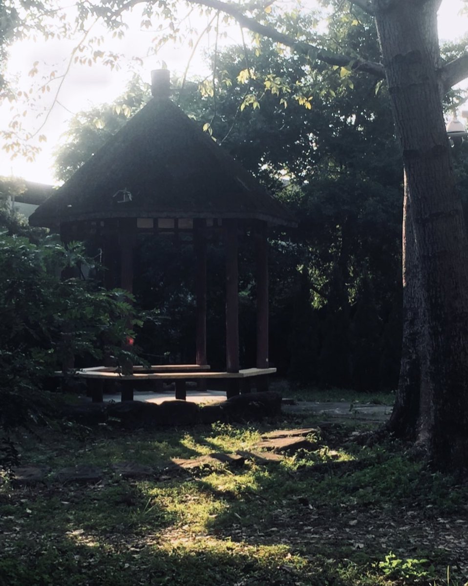 Cc88004189's tweet photo. 拍拍外婆家附近的小公園վ'ᴗ' ի https://t.co/nHpYSjVCPW