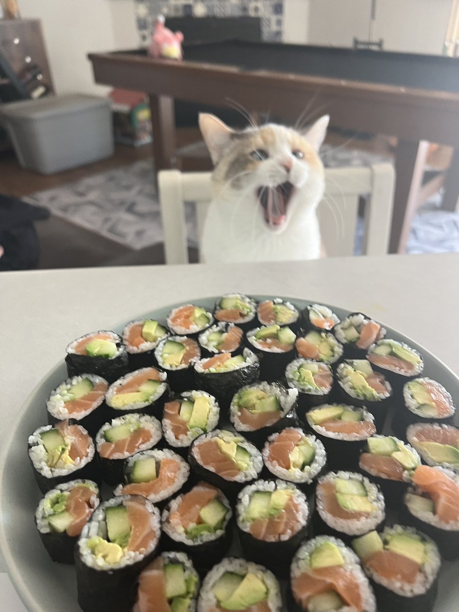 Panko A. Cat’s Mom tweet media