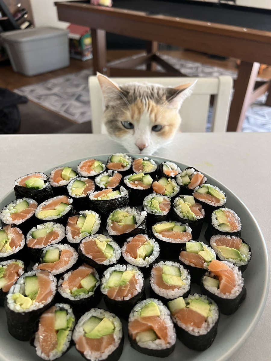 Panko A. Cat’s Mom tweet media