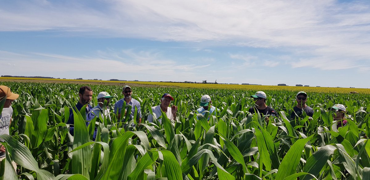 VientoSurAgro's tweet photo. Excelente reunión de la regional @aapresidneco hoy en el campo de Fernández Palma 
#juntossabemosmas y nos divertimos https://t.co/b11nO0fZo2