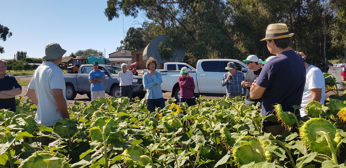 VientoSurAgro's tweet photo. Excelente reunión de la regional @aapresidneco hoy en el campo de Fernández Palma 
#juntossabemosmas y nos divertimos https://t.co/b11nO0fZo2