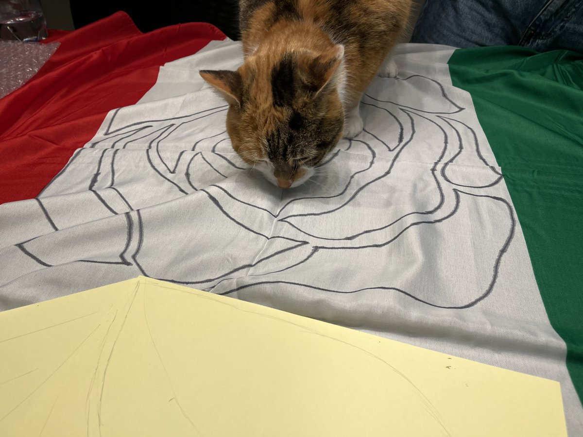 italian_roses's tweet photo. Pronti per domani? 🤩 https://t.co/erVSvJeS4F