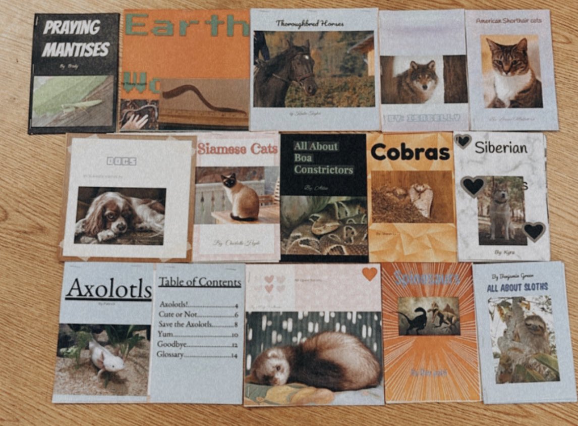 SierraShipley2's tweet photo. My students LOVED using @BookCreatorApp to write their non-fiction books! They begged for more writing time everyday! It has many wonderful features and is so user friendly! #educator #engagingtechnology https://t.co/AAIgXSMzaW